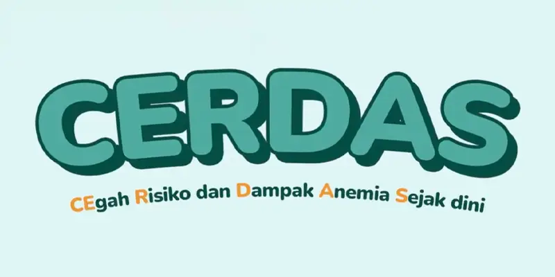 Thumbnail Proyek CERDAS